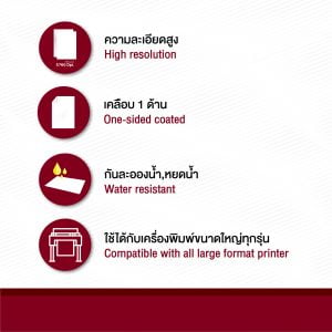 Canvas Polyester Inkjet แบบม้วน - Image 4
